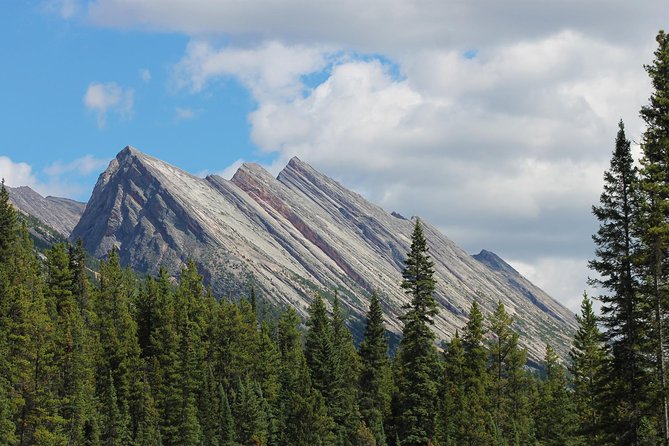 Sunwapta Challenge Whitewater Rafting: Class III Rapids - What to Expect on the River