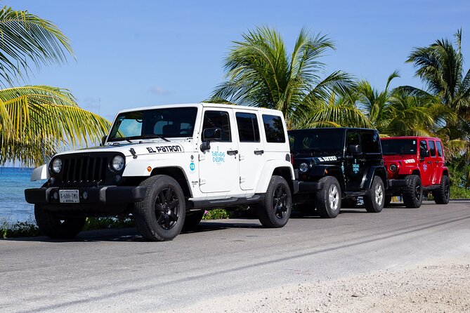 Super Cozumel Combo Snorkel by Boat and Jeep Exploration (Private) - Highlights