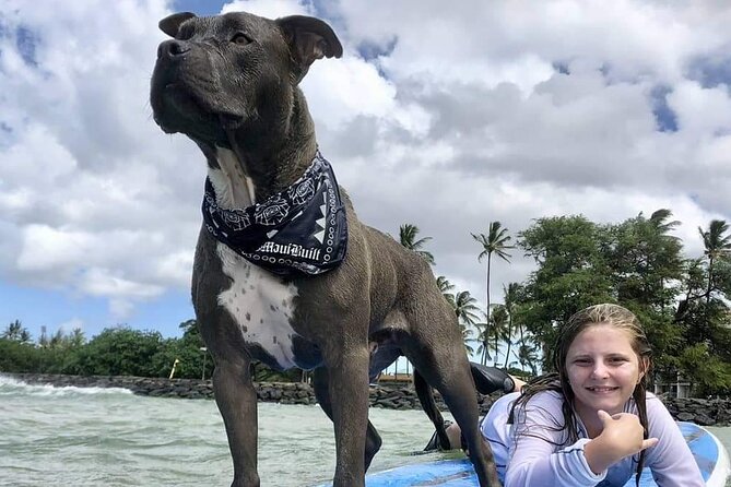 Surf With a Service Animal - Meet Church, the Service Dog