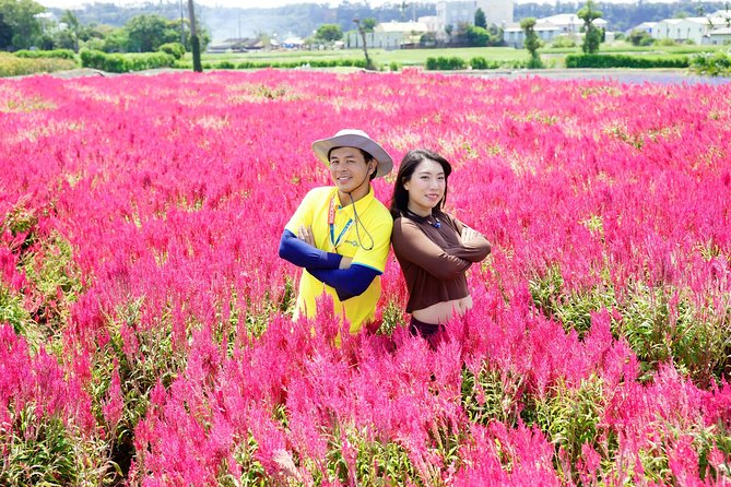 Taichung Must-Visit Join in Day Tour From Taipei - Accessibility Information