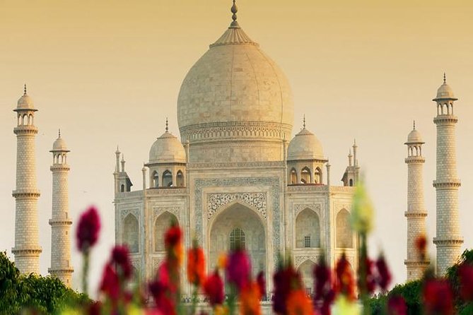 Taj Mahal & Agra Private Tour From Delhi With Guide - Inclusions and Amenities