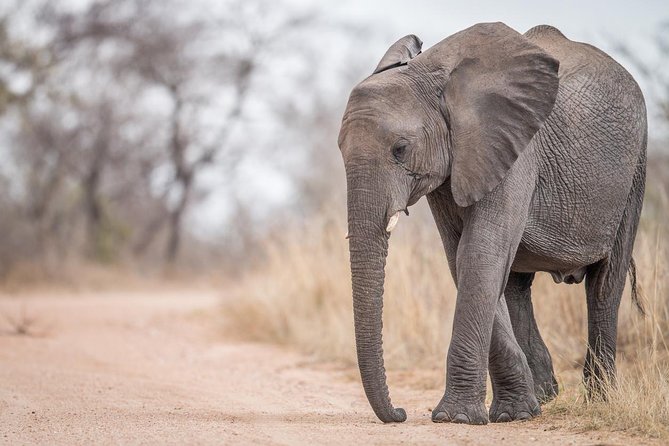 Tanzania Through The Rift Valley - 5 Days - Accommodation Details