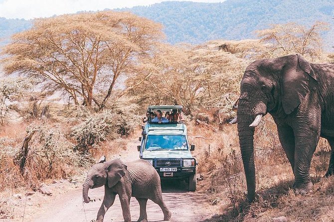 Tarangire & Ngorongoro 2 Days Tour - Highlights of Tarangire National Park