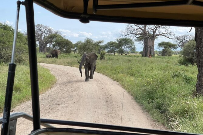 Tarangire & Ngorongoro Crater Group Safari (2 Days) - Highlights of the Safari