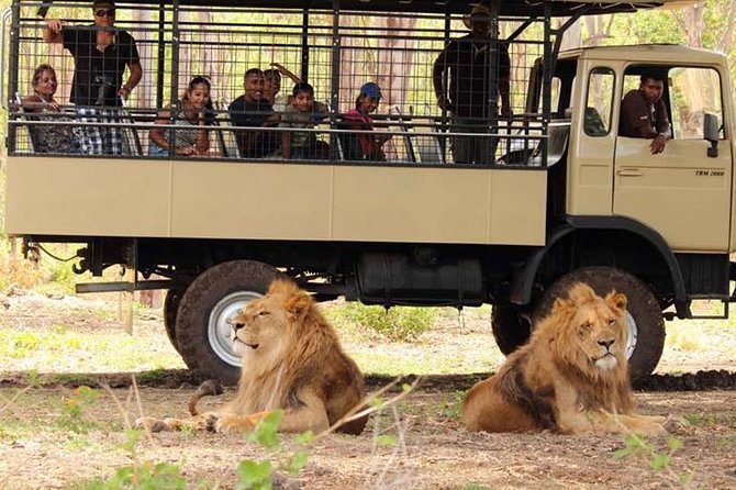 >>TAXI ONLY<< to CASELA BIRD PARK, SAFARI. - Pricing Details and Payment Options