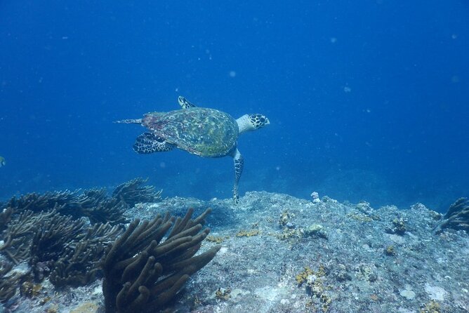 Tayrona, Snorkel & Beach - Highlights of the Tour