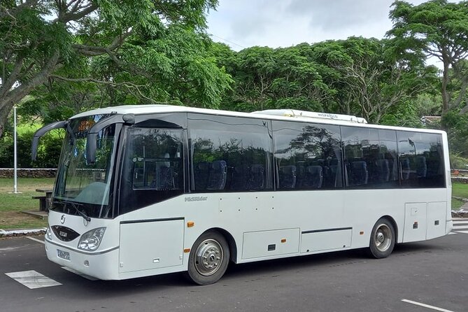 Terceira Island Bus Transfer - Pickup and Drop-off Details