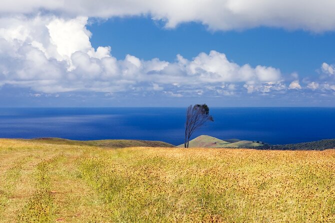 Terevaka Private Tour to the Highest Point of Rapa Nui - Terevaka and Its Significance