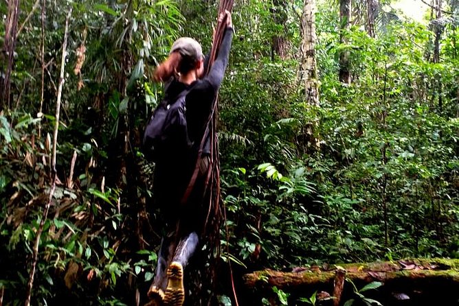 The Adventure Begins Here - Iquitos Amazon Tours - Meeting and Pickup Information