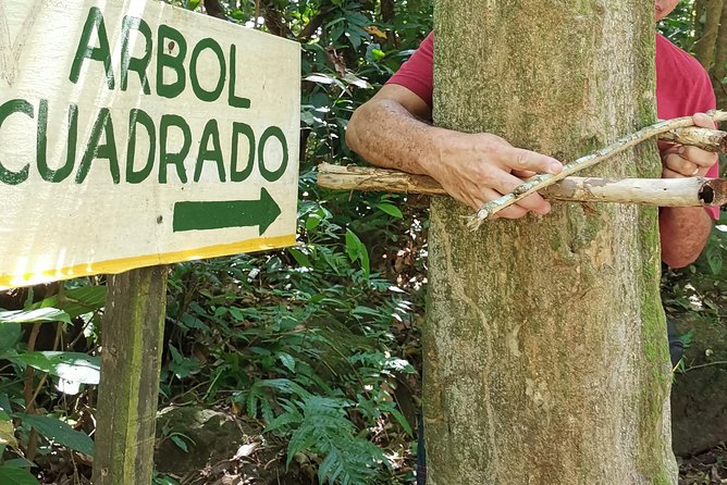 The Anton Valley - Hiking and Swimming - Exploring the Square Trees