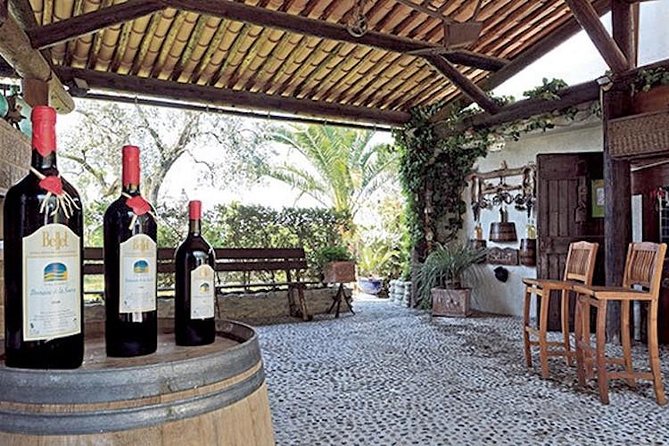 The Bellet Wine Tasting - Transportation and Pickup Information