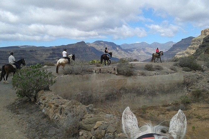 The Best Horse Riding Experience in Gran Canaria (1 Hour) - Overview of the Scenic Tour