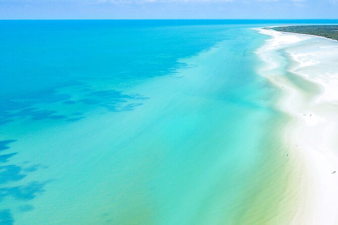 The Best of Holbox From Tulum - Inclusions and Costs