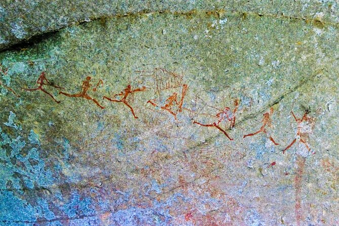 The Best of Matobo - Encountering Matobos Diverse Wildlife