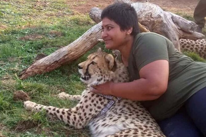 The Cheetah Experience - Pricing Information