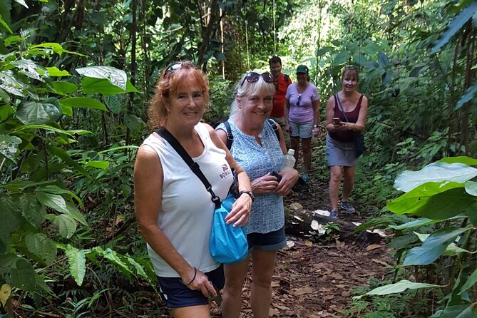 The Kittitian Rainforest Adventure (with Snacks) - Inclusions