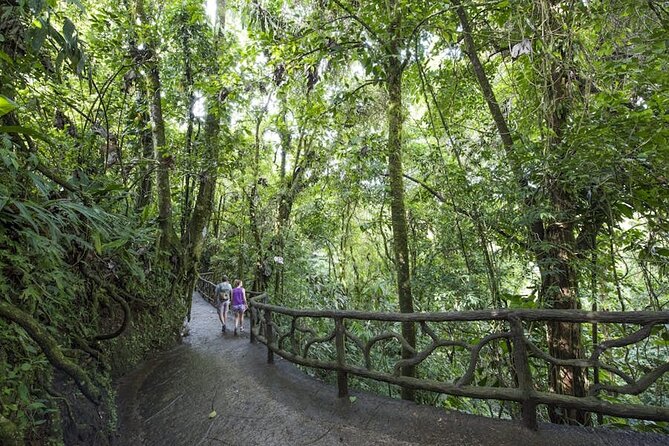 The Mistico Hanging Bridges - Transportation Options