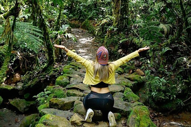 The Quetzal Birdwatching Tour From Guatemala City - Guatemala's National Bird - Pickup and Cancellation