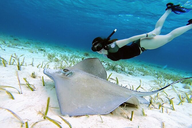 The Sky Cozumel Snorkeling by Private Boat - Inclusions and Amenities