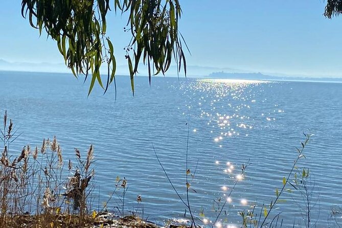 The Spell of Lake Trasimeno - Trekking Tour - Tour Details