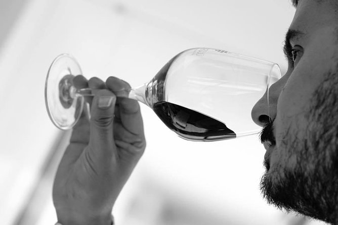 The Wine Experience - Casa Rojo Review - Since You Asked
