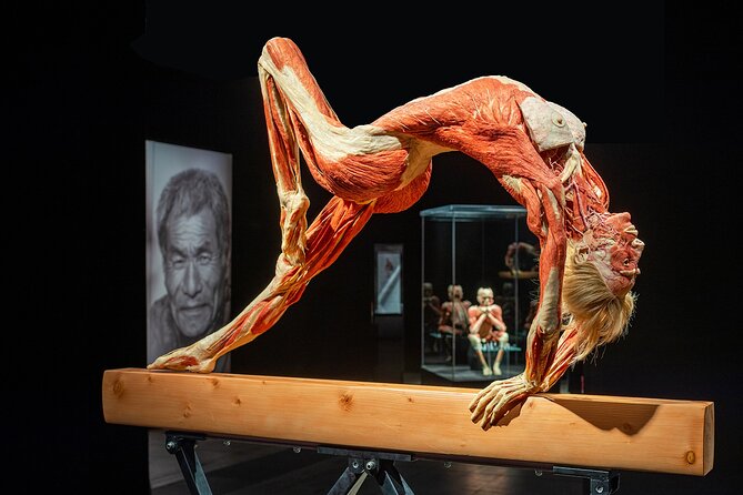 Ticket Expo Body Worlds Review: A Fascinating Experience - Accessibility