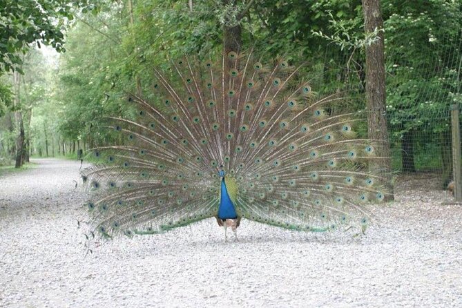 Ticket for the Fishing Park Paradise at Zelo Buon Persico - Product Overview and Ratings