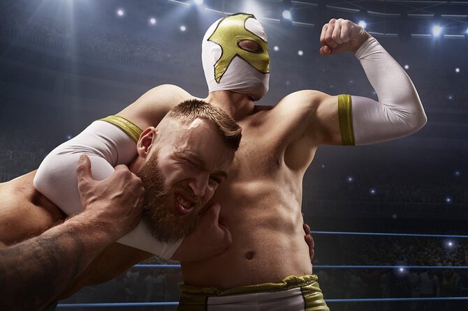 Ticket for Wrestling Show Without Row - Inclusions