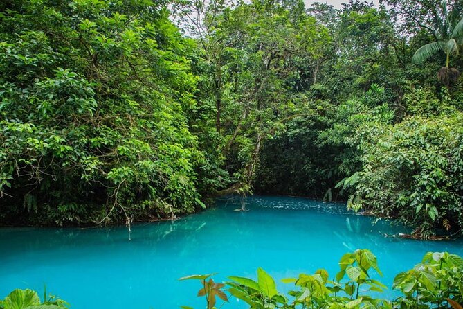 Ticket to Rio Celeste Waterfall & Tenorio Volcano National Park - Meeting and Pickup Details