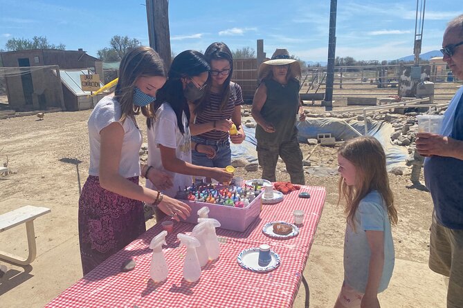 Tickets to Nature Health Farms Petting Zoo, Antique Store & Hemp Farm in Pahrump - Exploring the Sunflower Garden and Antique Store