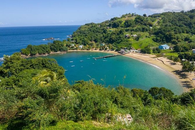 Tobago Island Tour - Customer Feedback