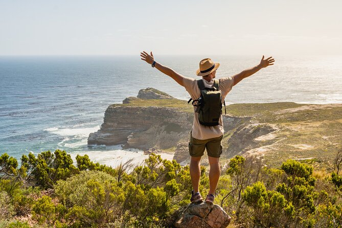 Top 10 Super Tour: Table Mountain, Penguins & Cape of Good Hope Small Group Trip - Inclusions and Fees
