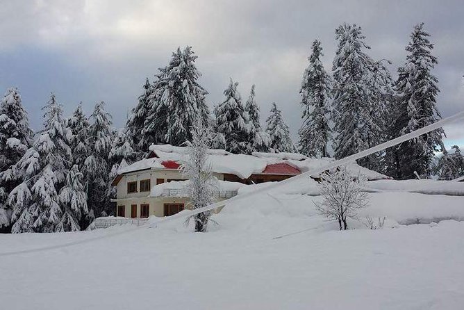 Top 14 Things to Do on a 5-Day 4-Night Tour of Naran and Shogran - Visit Kiwai Waterfall