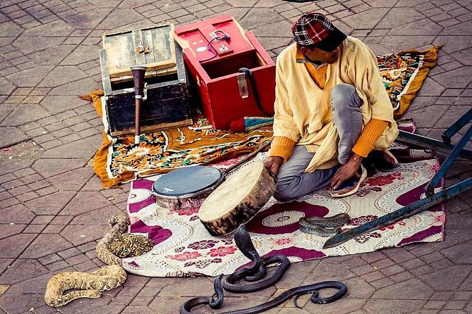 Top Activities : Half Day Guided Walking Tour in Marrakech With Official Guide - Pickup and Transportation