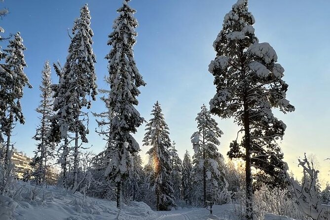 Top of Oslo/Starlight Evening Snowshoeing Tour(s) - Meeting and Pickup