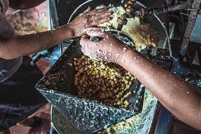 Tortillas, Nixtamal and Salsas Workshop - Meeting Details