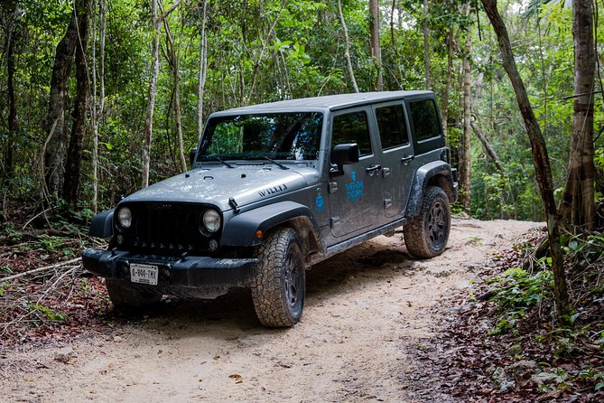 Tortugas Jeep Adventure & ATV Jungle Experience - Itinerary Highlights