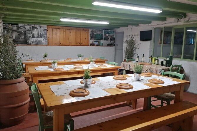 Tour and Tickets: EVO Oil Tasting Review - Olive Oil Sampling