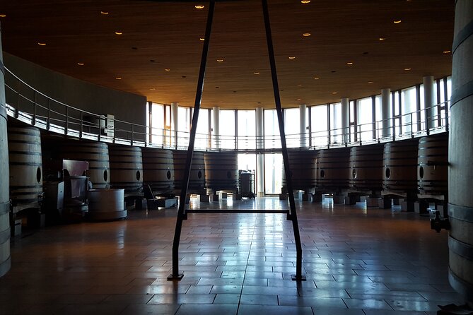 Tour in Colchagua Vineyards Montes and Vineyards Viu Manent - Exploring Viu Manent Vineyards