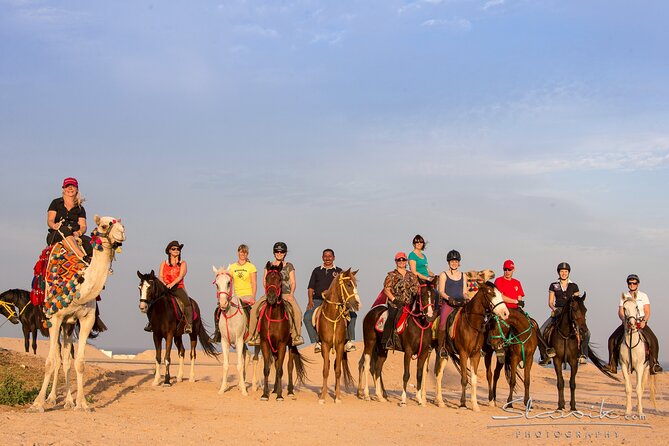 Tour in Hurghada Arabian Night and Star Watching - Inclusions and Costs