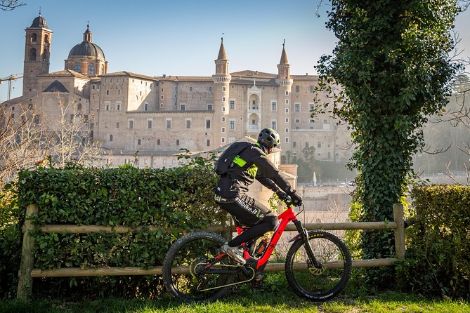 Tour in the Marche by Raffaello Sanzio: Art, Nature, Food and Wine - Explore Historic Palaces and Piazzas