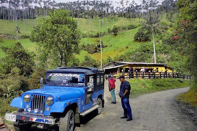 Tour La Carbonera. a Large Forest of Wax Palms - Highlights of the Experience