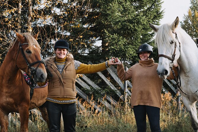 Tour to Aurora Horses Farm Review - Meeting and Pickup