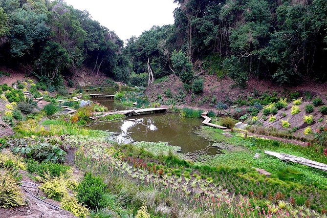 Tour to Parque Tricao + Aviary and Pomaire Full Day From Santiago - Inclusions and Pickup Details