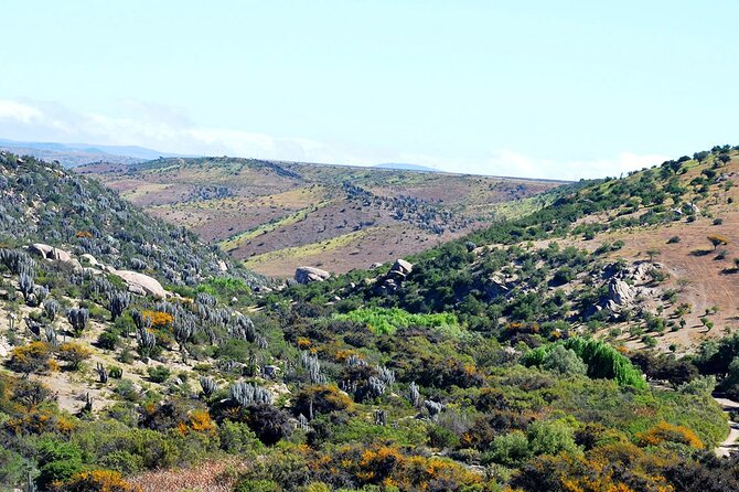 Tour to Valle Del Encanto Archeology, Petroglyphs, Flora, Fauna and Springs - Meeting and Pickup Details