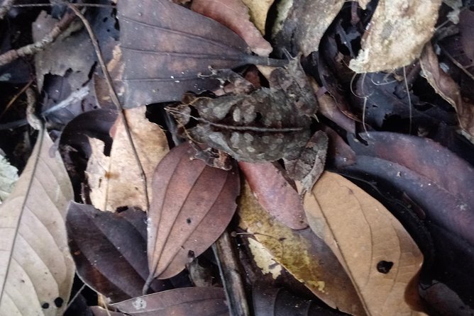 Tours - Peru Connection With Nature Iquitos - Meeting and Pickup