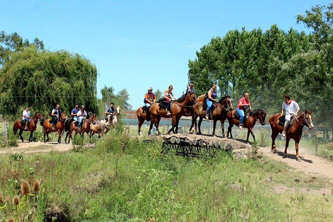 Traditional Gaucho Festival Full Day Tour From Buenos Aires - Pickup and Confirmation