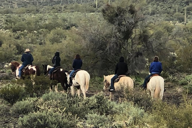 Trail Riding for the Individual or Group. Best Trail Rides Anywhere in Arizona. - Included Services and Features