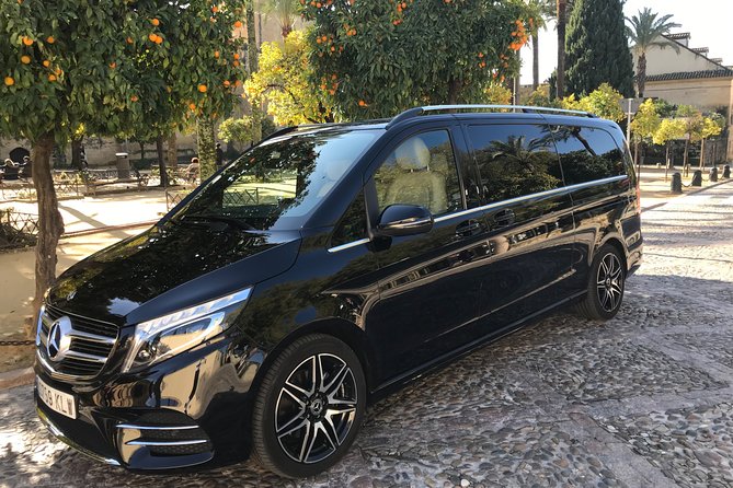 Transfer From the Airport to Madrid - Customer Reviews and Ratings