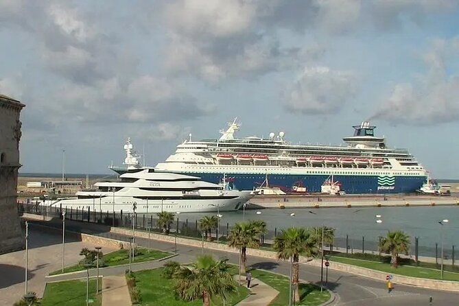 Transfer in Private Minivan From Civitavecchia to FCO Airport - Pickup Location and Procedure